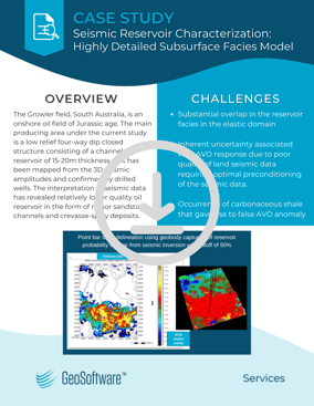 Services Case Study Flyer - #8 - Detailed Facies Model-DOWNLOAD